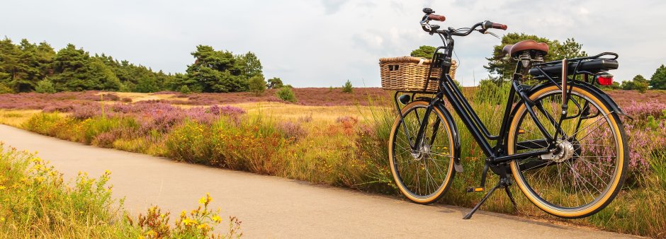 geparkeerde fiets met mand