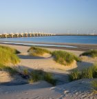 Windmolens in duinen