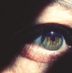 Oog