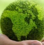 ESG Insights